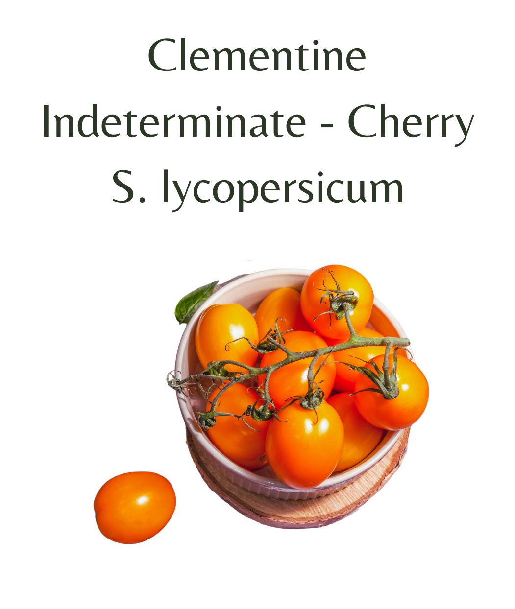 Clementine Tomato (10 seeds)
