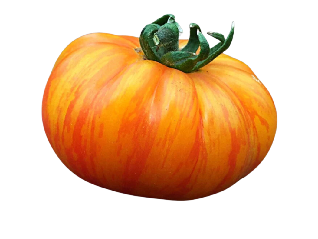 ?!label-Indicative photo