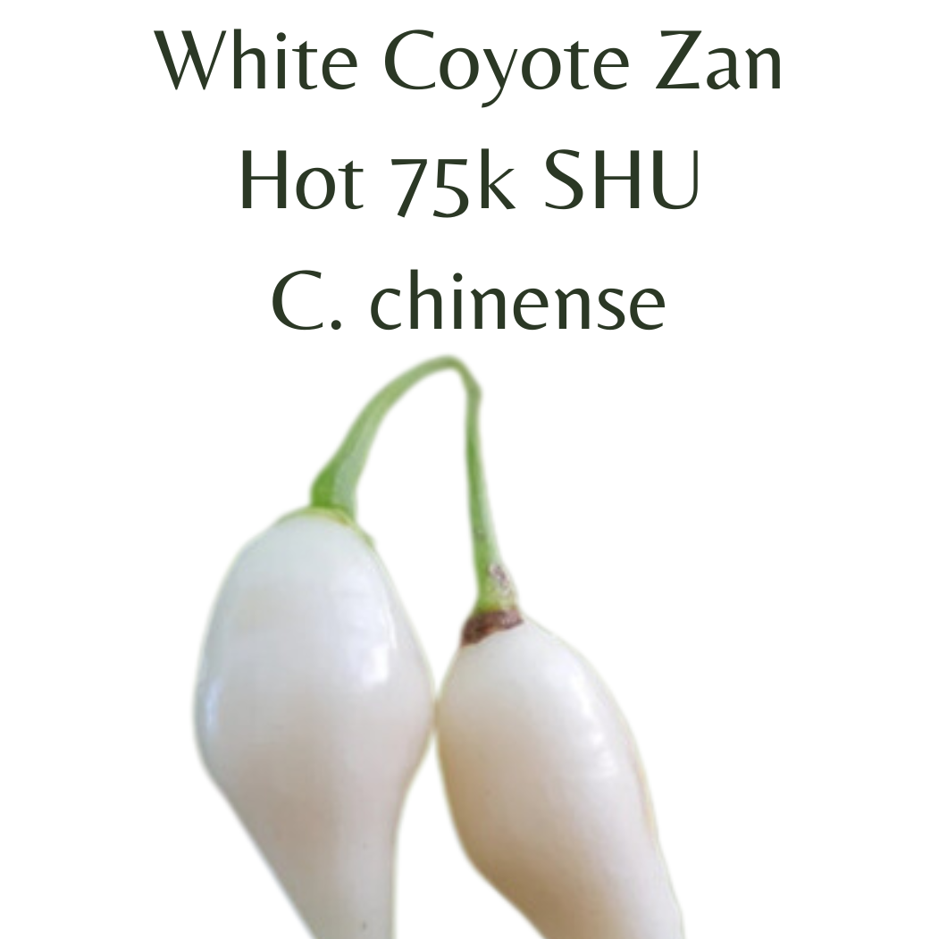 ?!label-Indicative photo