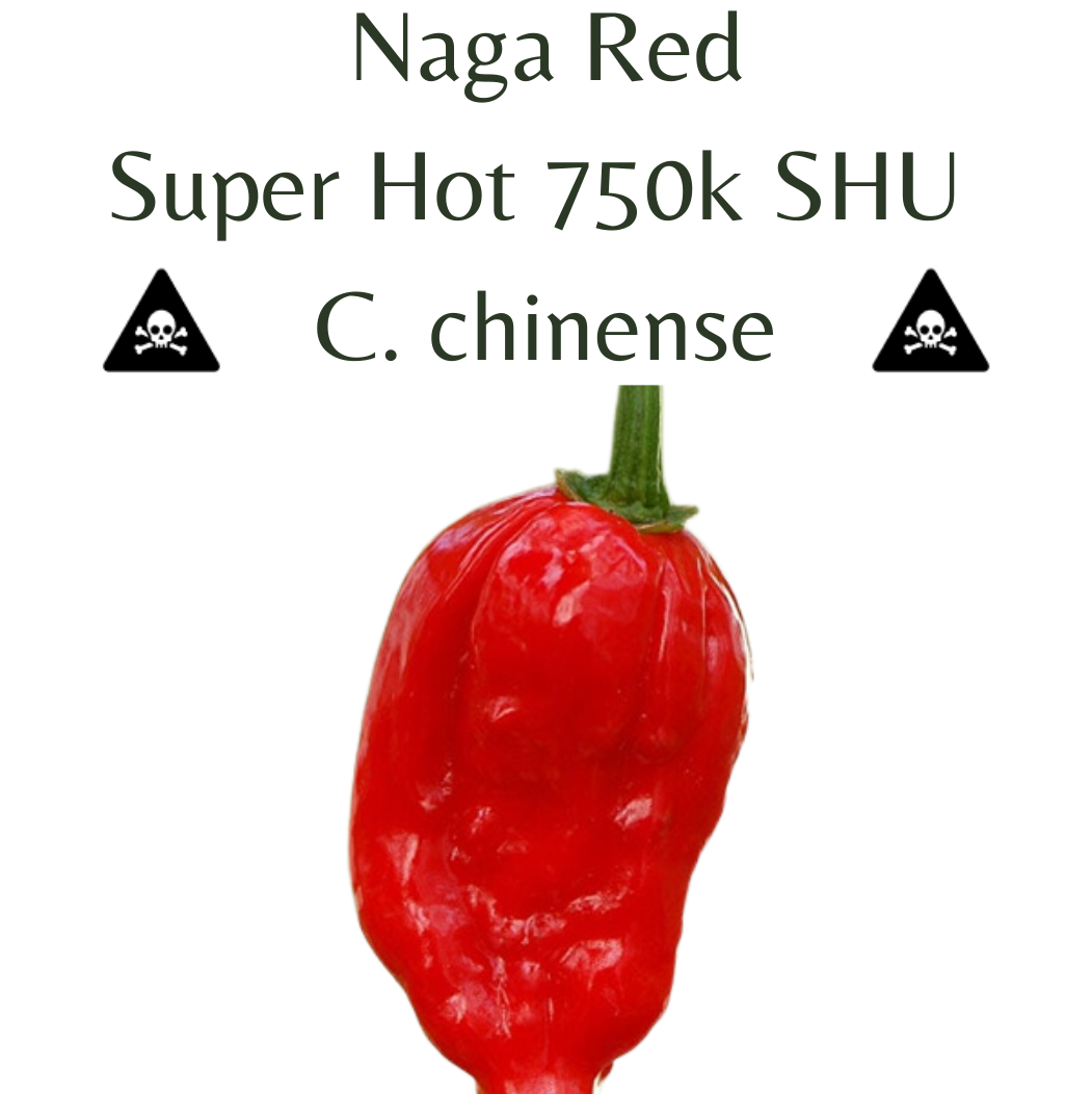 ?!label-Indicative photo