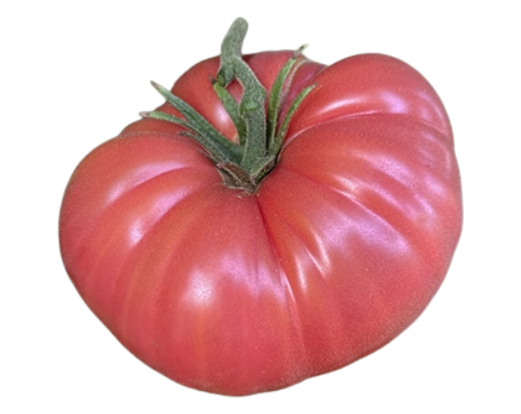 Mexico Pink Tomato (10 seeds)