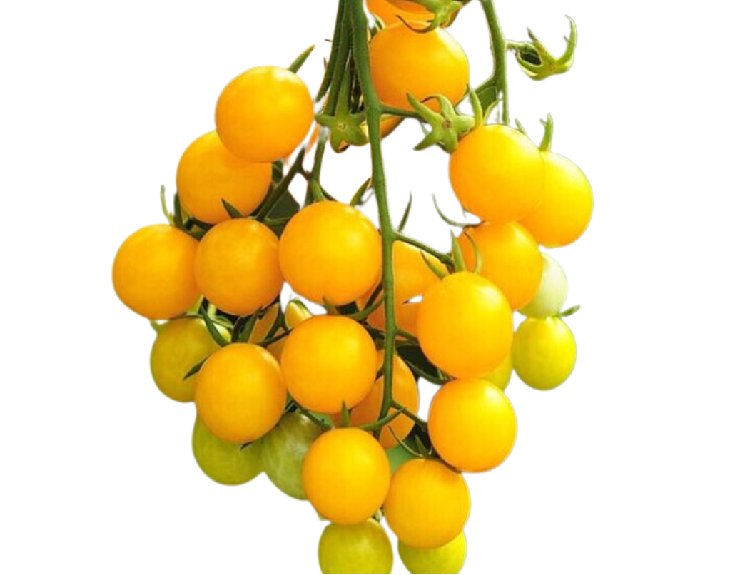 ?!label-Indicative photo