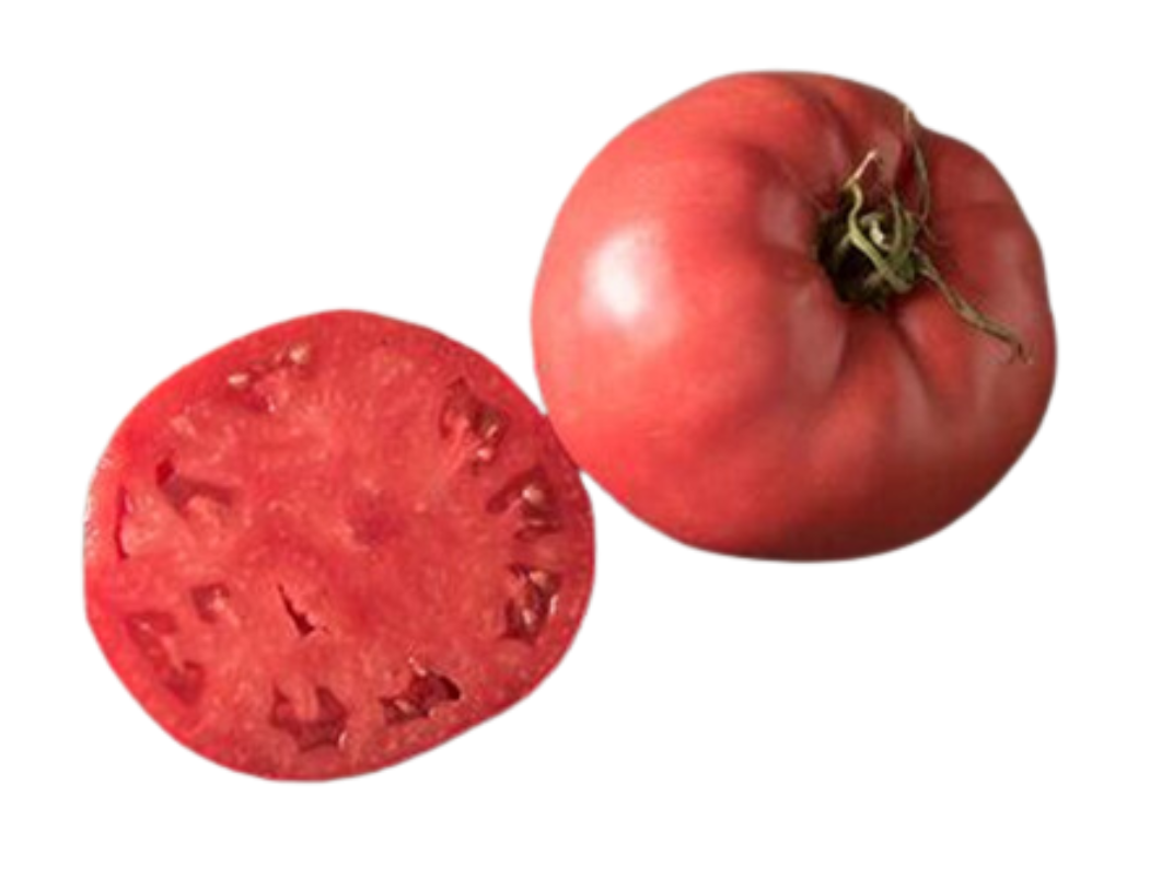 ?!label-Indicative photo