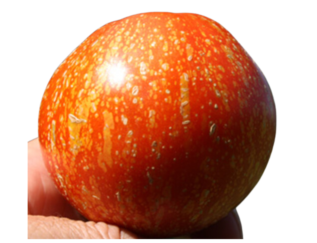 ?!label-Indicative photo