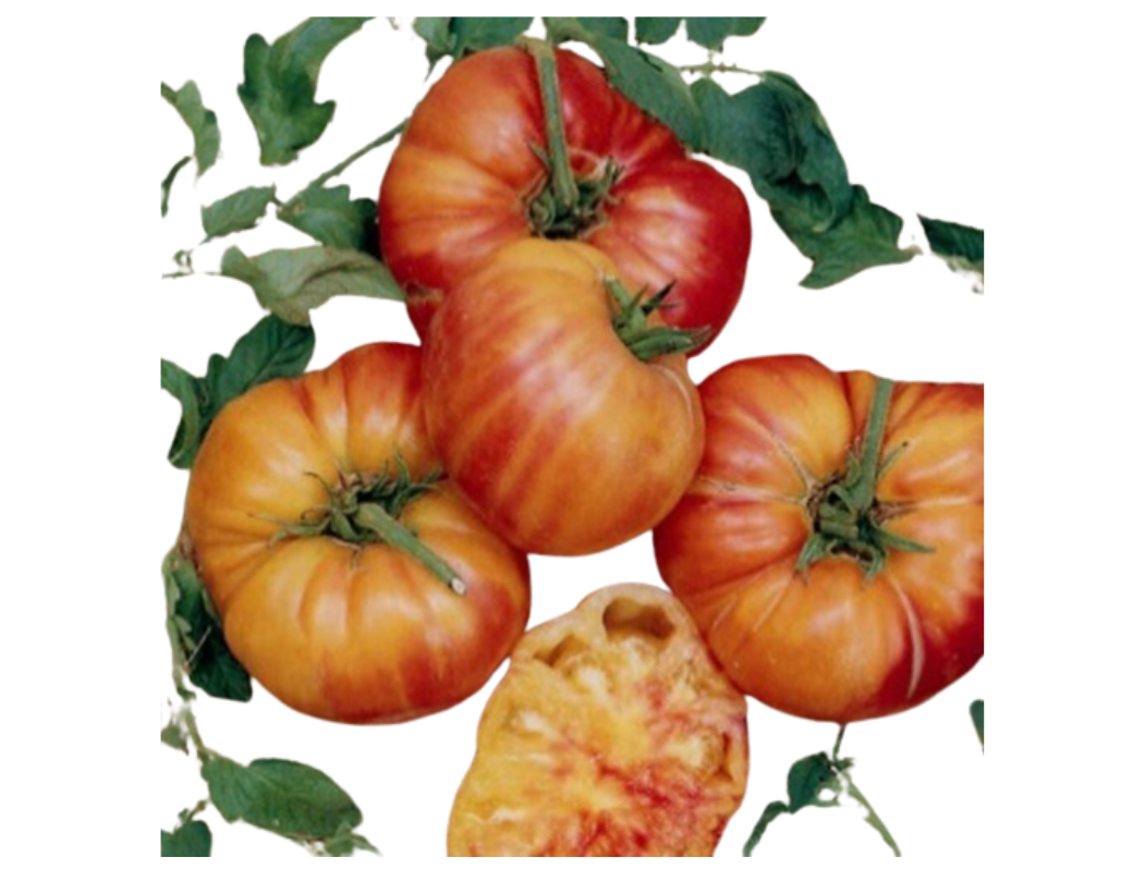 ?!label-Indicative photo