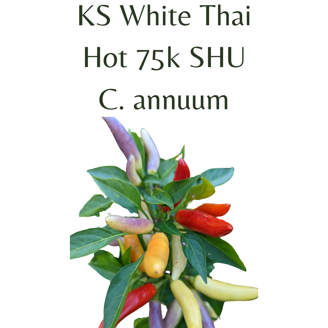 ?!label-Indicative photo