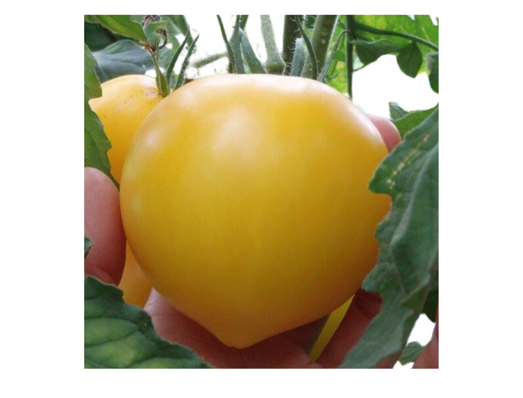 ?!label-Indicative photo