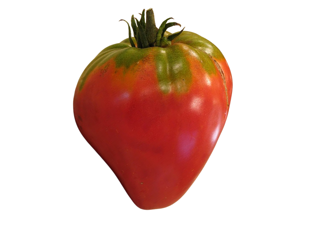 ?!label-Indicative photo