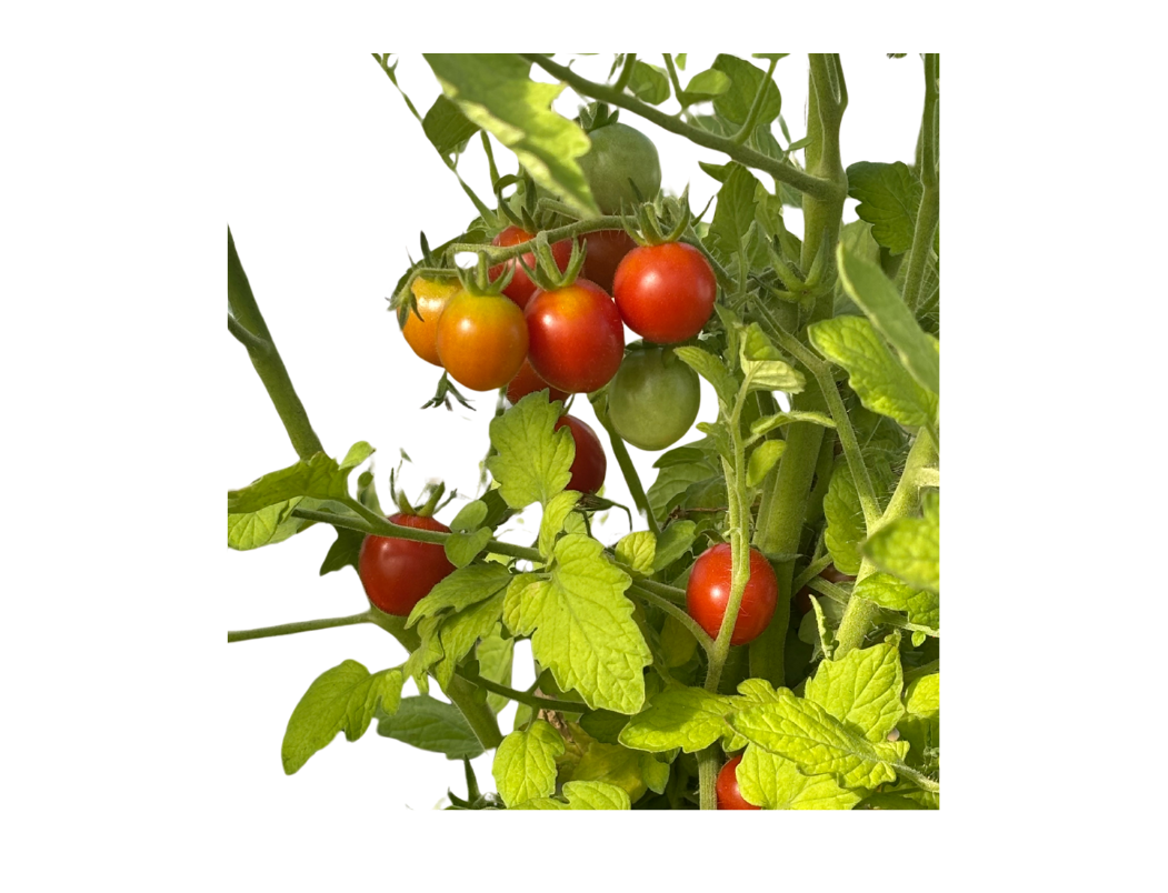 ?!label-Indicative photo