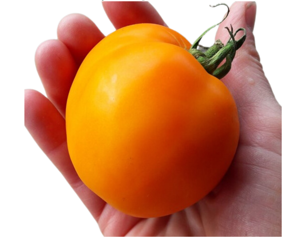 ?!label-Indicative photo