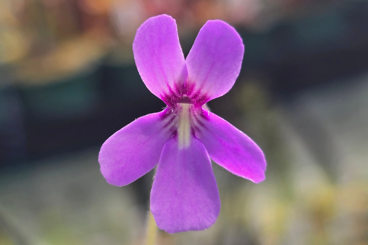 ?!label-Indicative photo