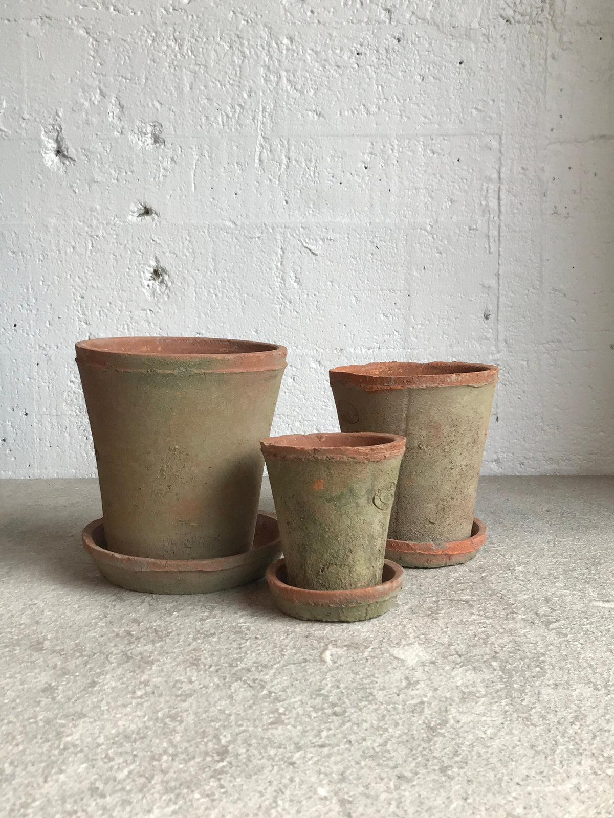 Aged Terracotta Pot & Saucer