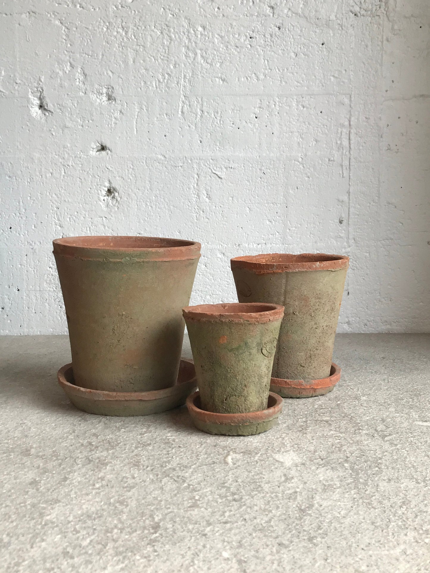 Aged Terracotta Pot & Saucer