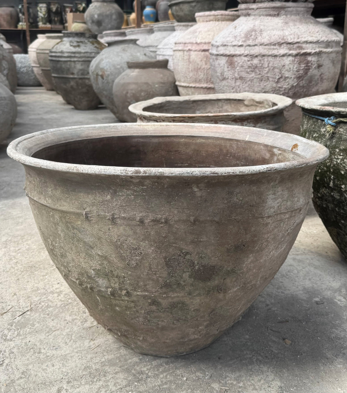 Advika Water Bowl
