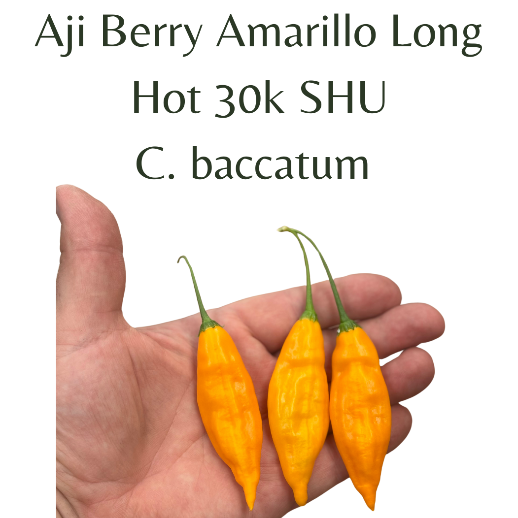 ?!label-Indicative photo