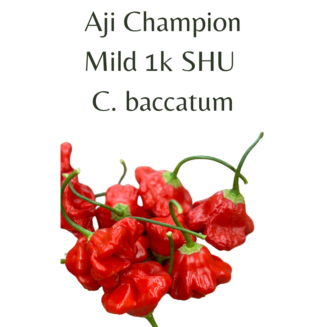 ?!label-Indicative photo