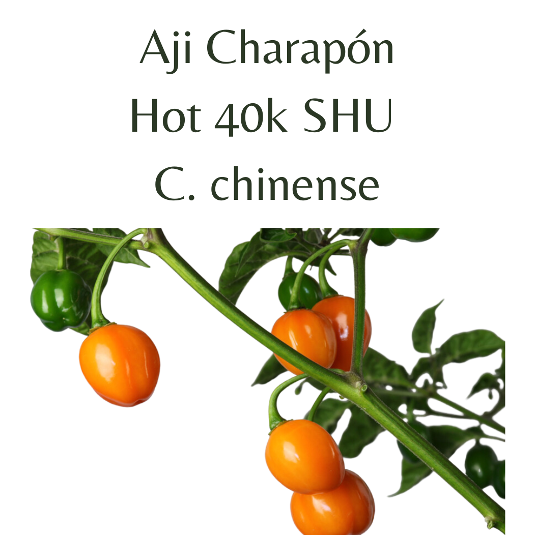 ?!label-Indicative photo