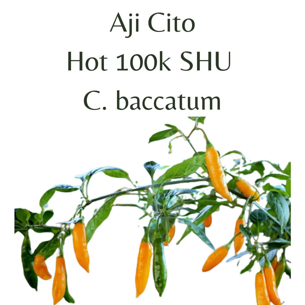 ?!label-Indicative photo