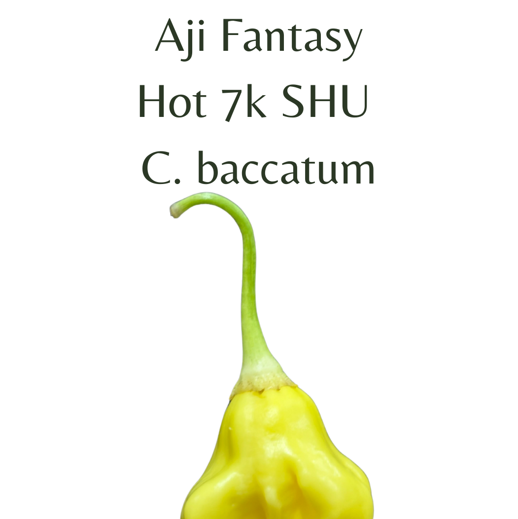 ?!label-Indicative photo