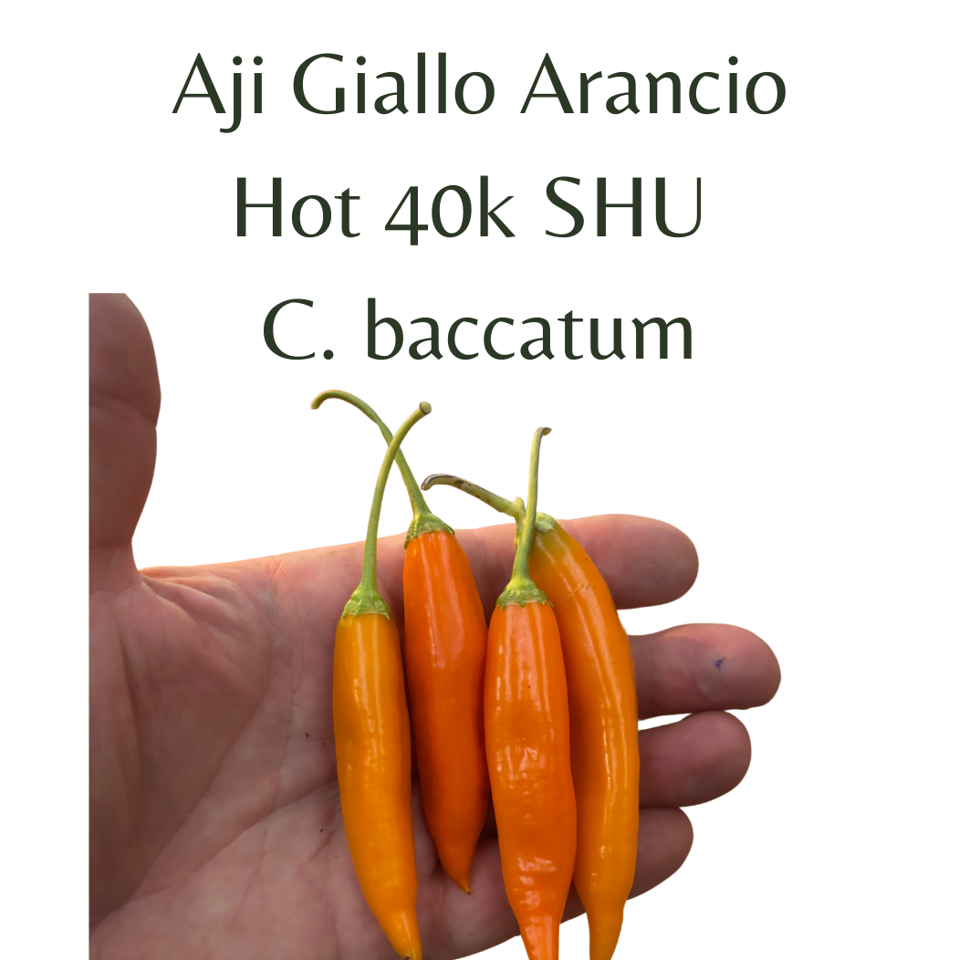 ?!label-Indicative photo