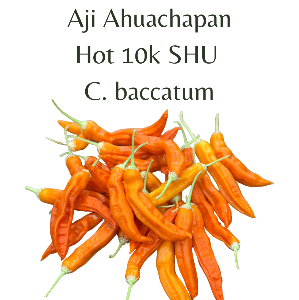 ?!label-Indicative photo