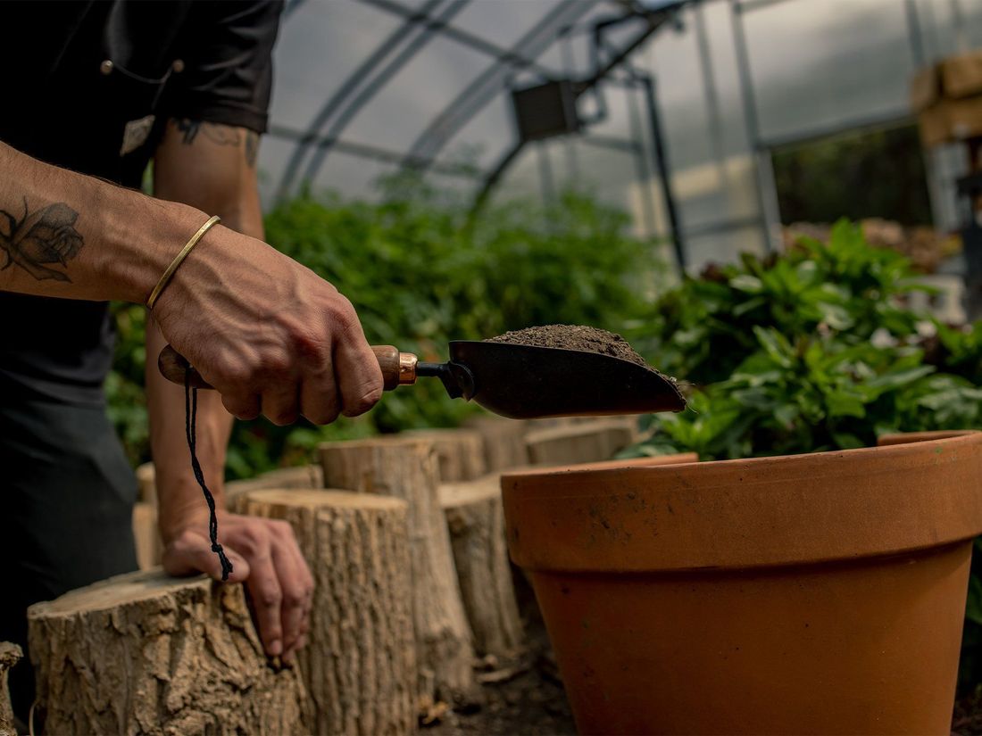 Garden Scoop