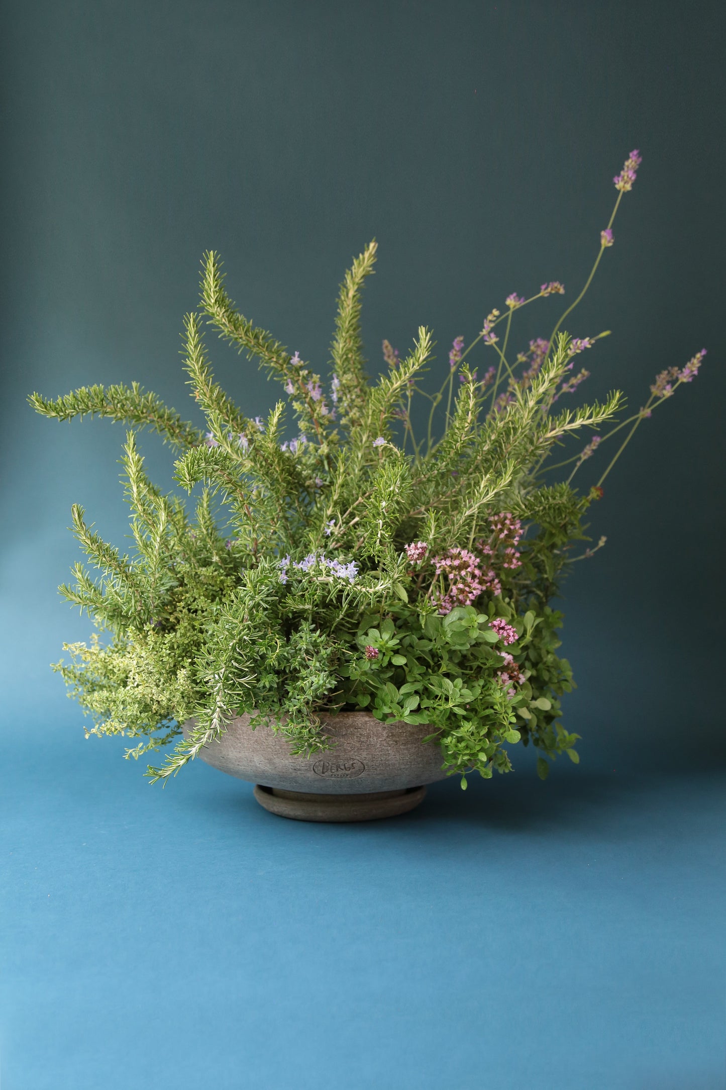 Ada Bowl & Saucer