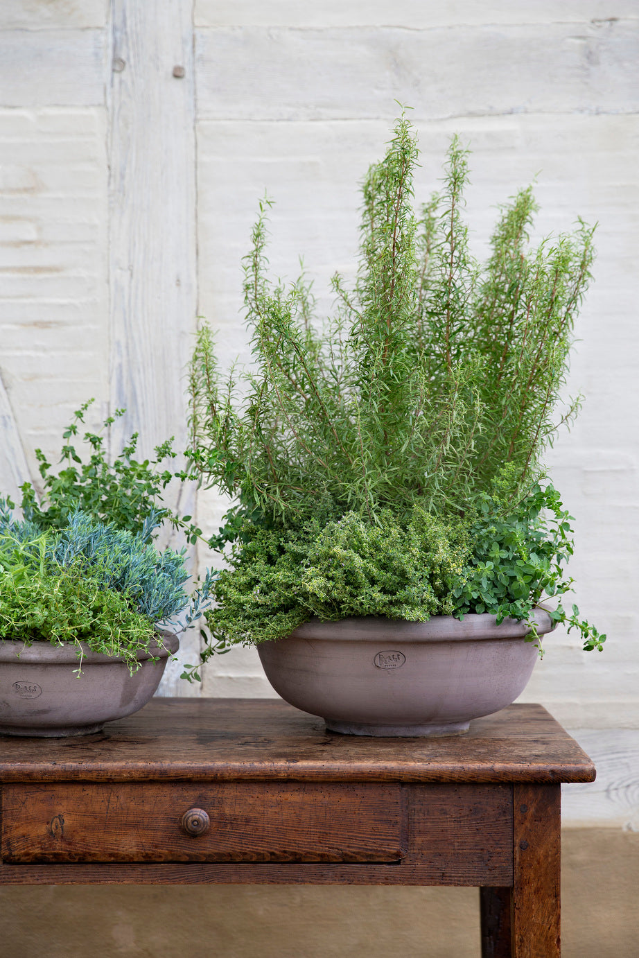 'Erbe' Herb Bowl