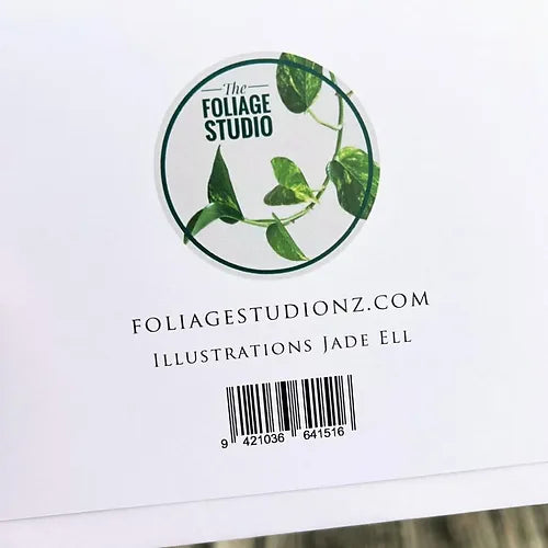 Calathea Orbifolia Greeting Card