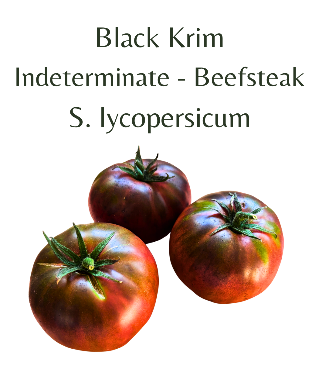 Black_Krim_Tomato_10_seeds