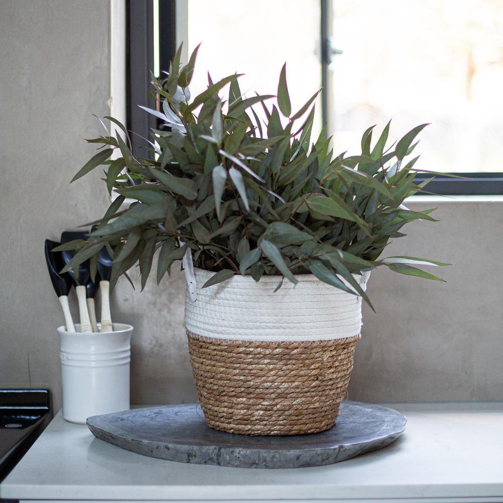 ?!label-Indicative photo