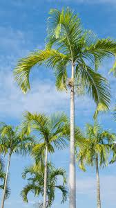 ?!label-Indicative photo