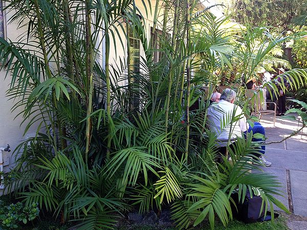 ?!label-Indicative photo