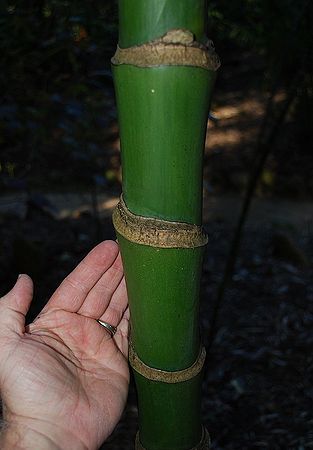 ?!label-Indicative photo
