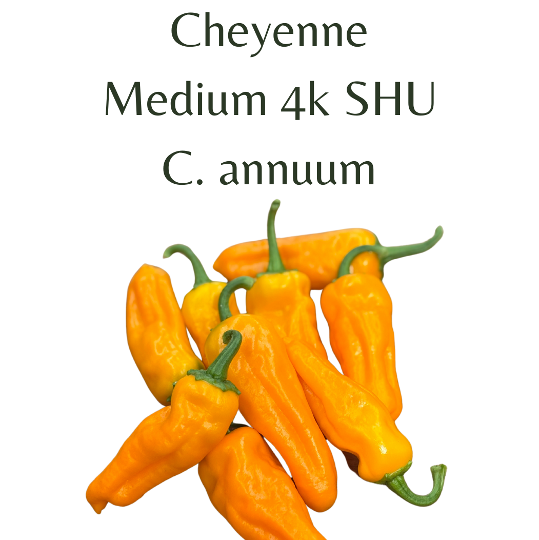 ?!label-Indicative photo