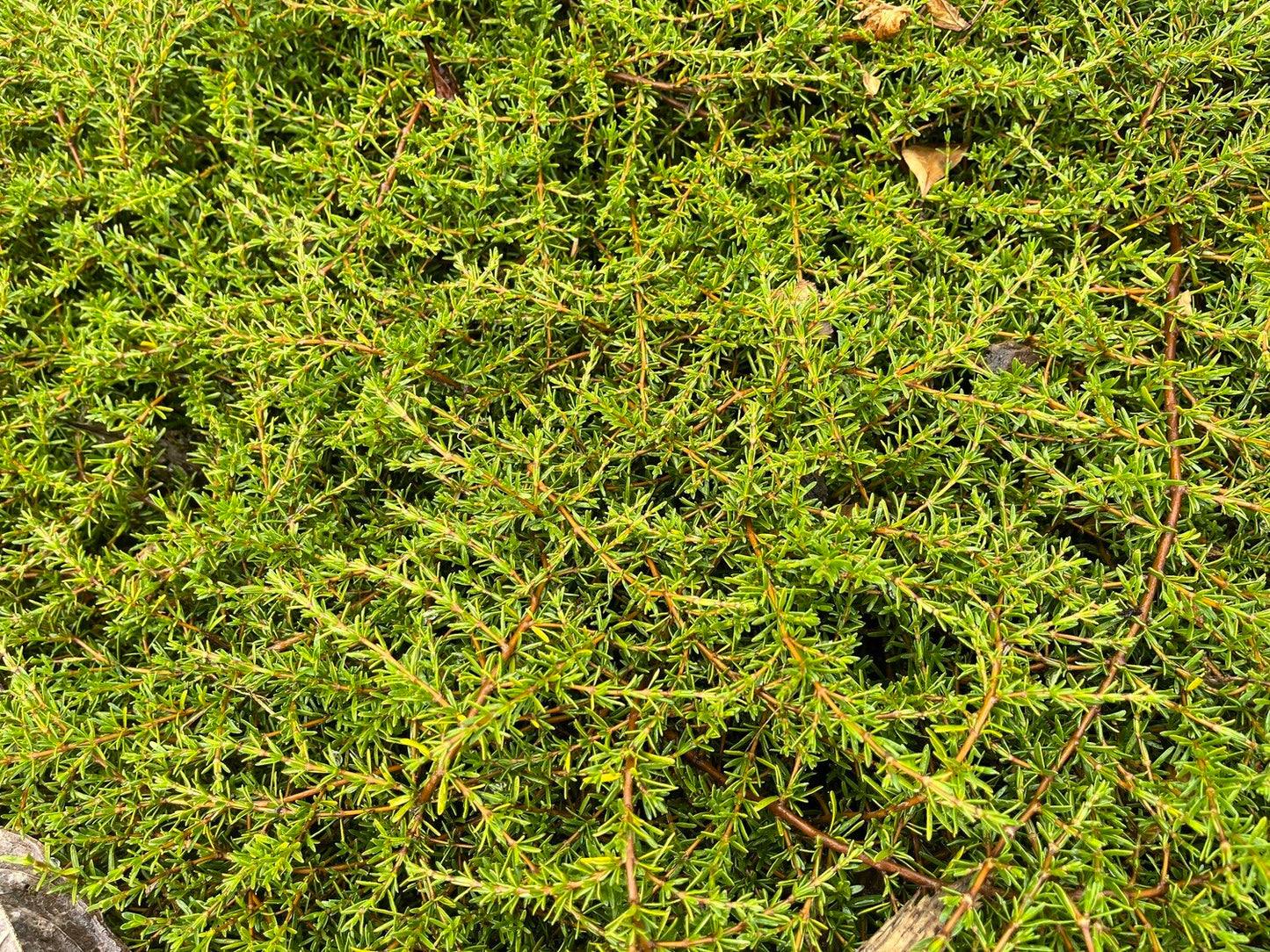 ?!label-Indicative photo
