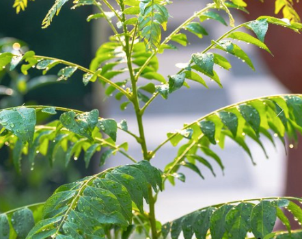 ?!label-Indicative photo