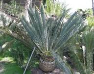 ?!label-Indicative photo