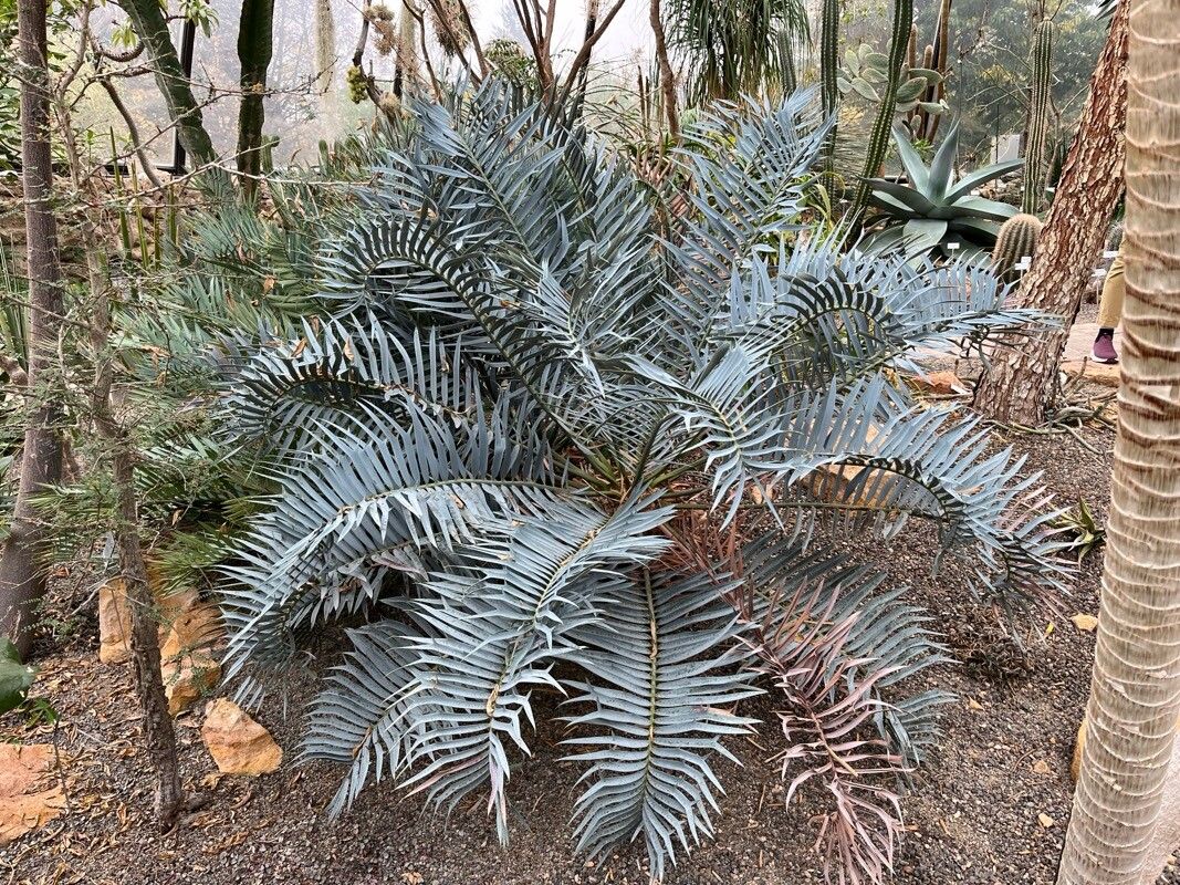 ?!label-Indicative photo