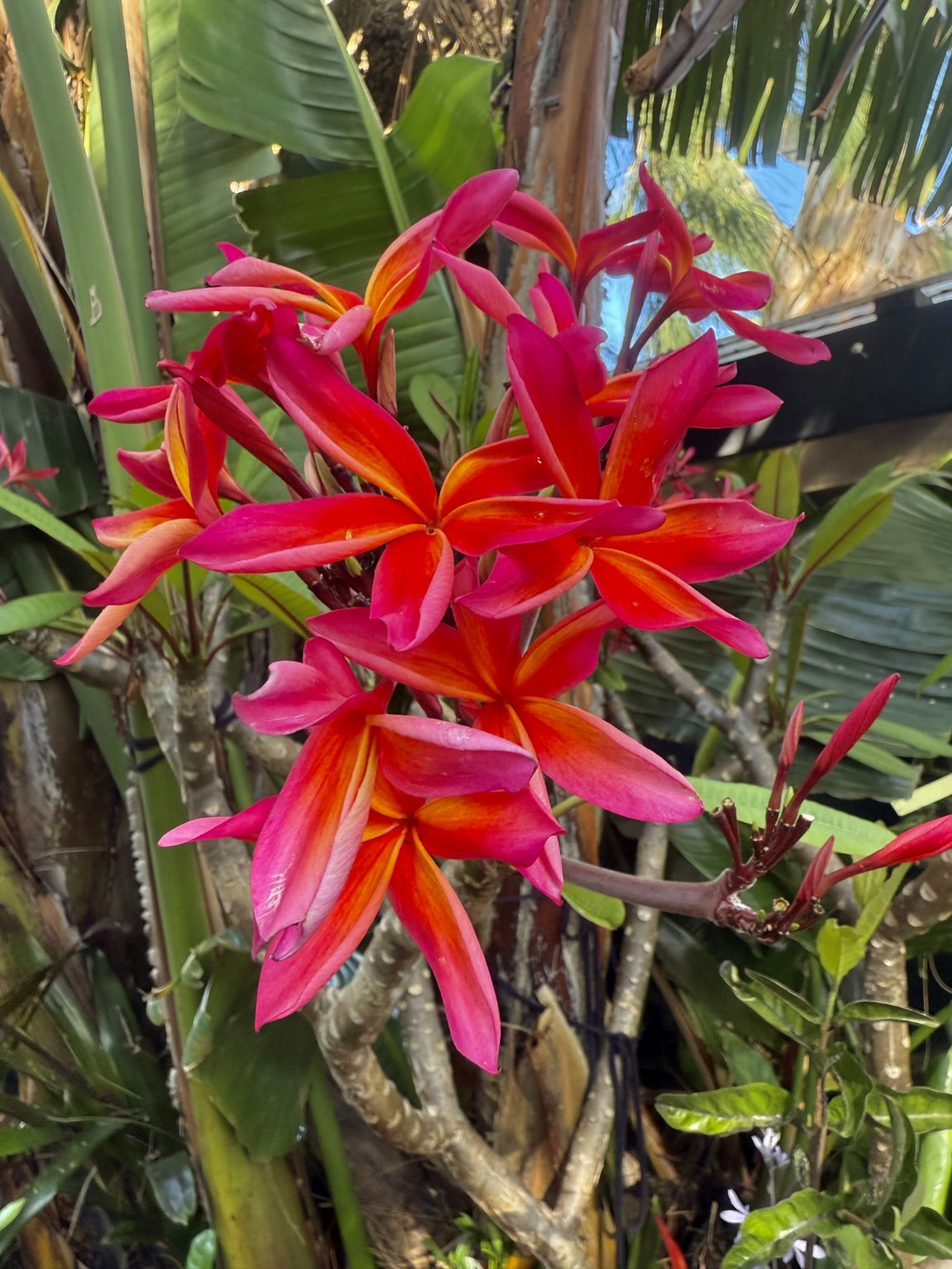 ?!label-Indicative photo