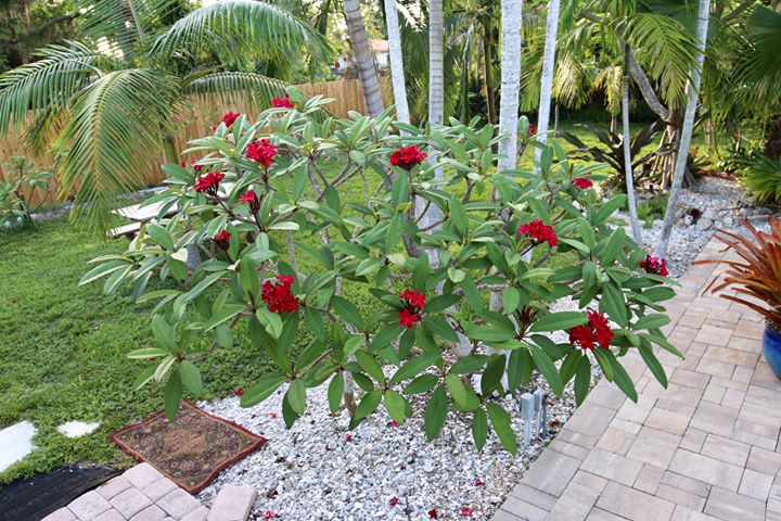 ?!label-Indicative photo