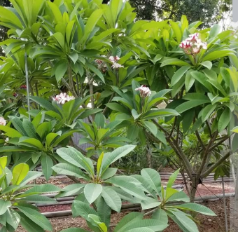 ?!label-Indicative photo