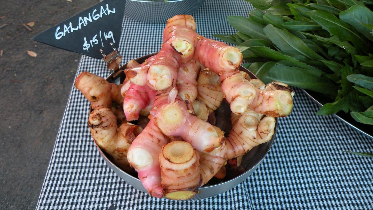 Galangal, Red (Thai Ginger)