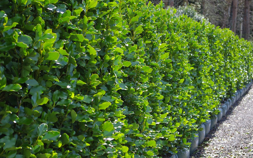 ?!label-Indicative photo