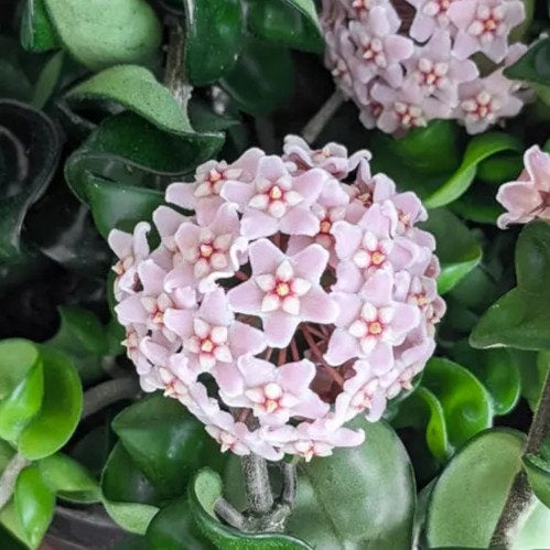 ?!label-Indicative photo