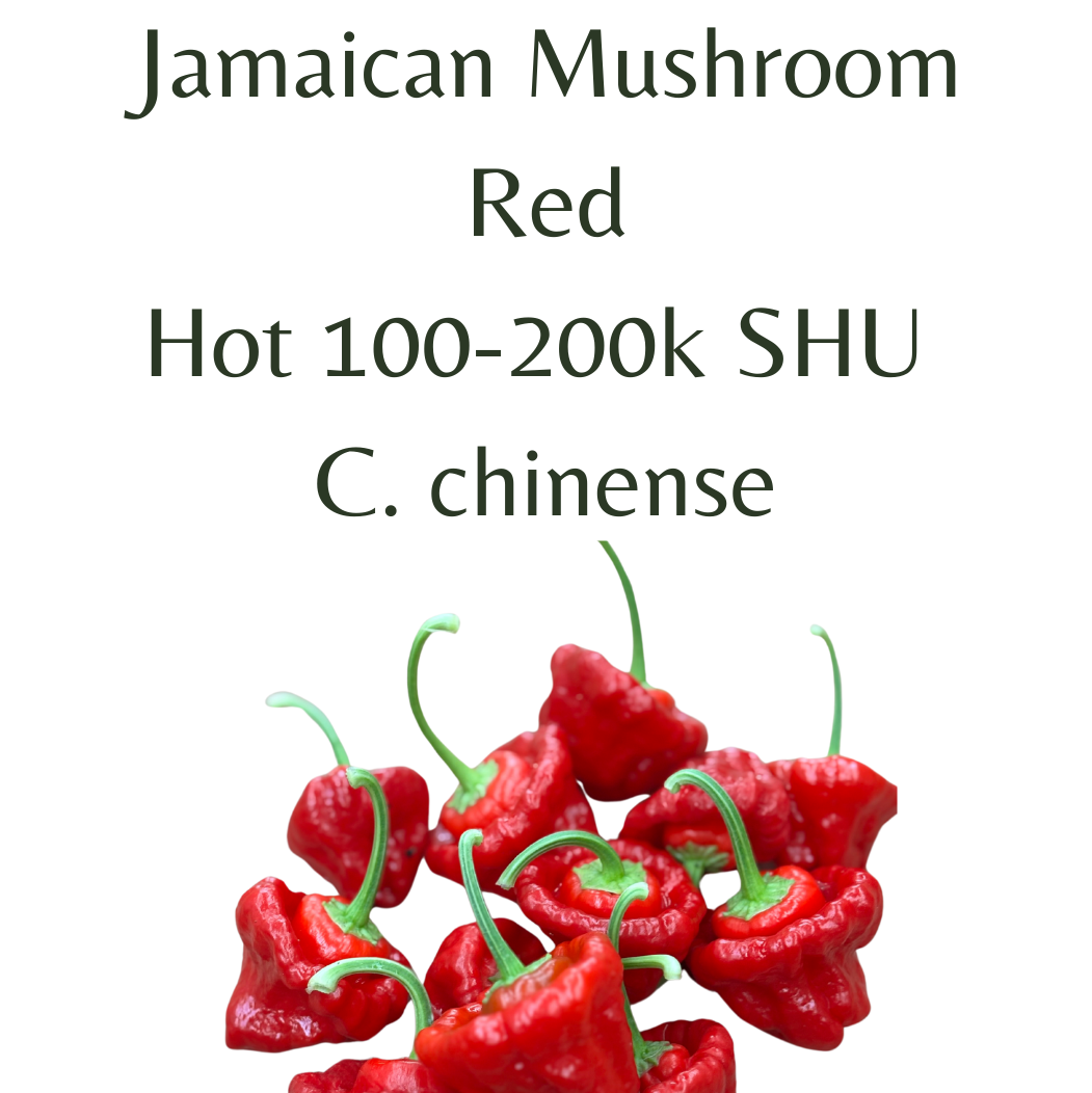 ?!label-Indicative photo