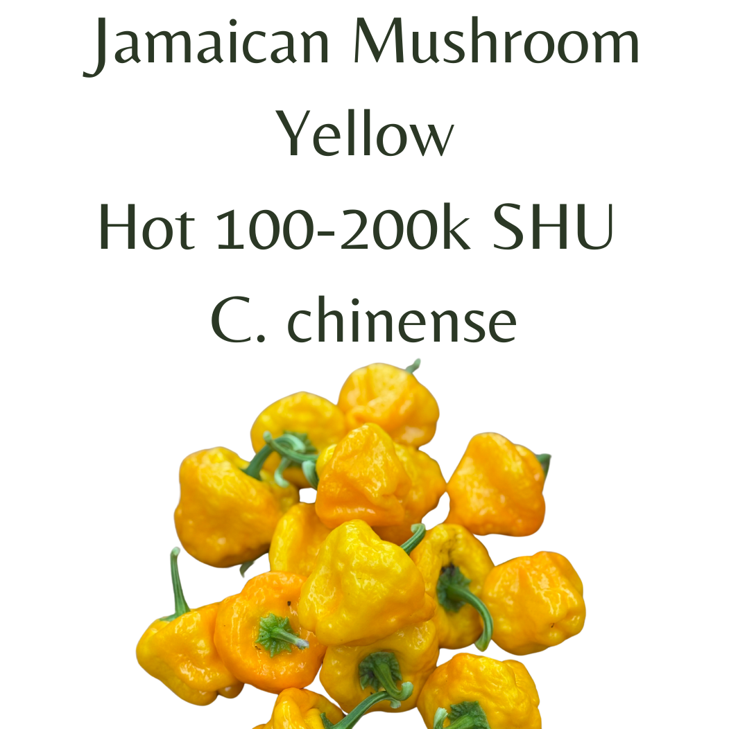 ?!label-Indicative photo