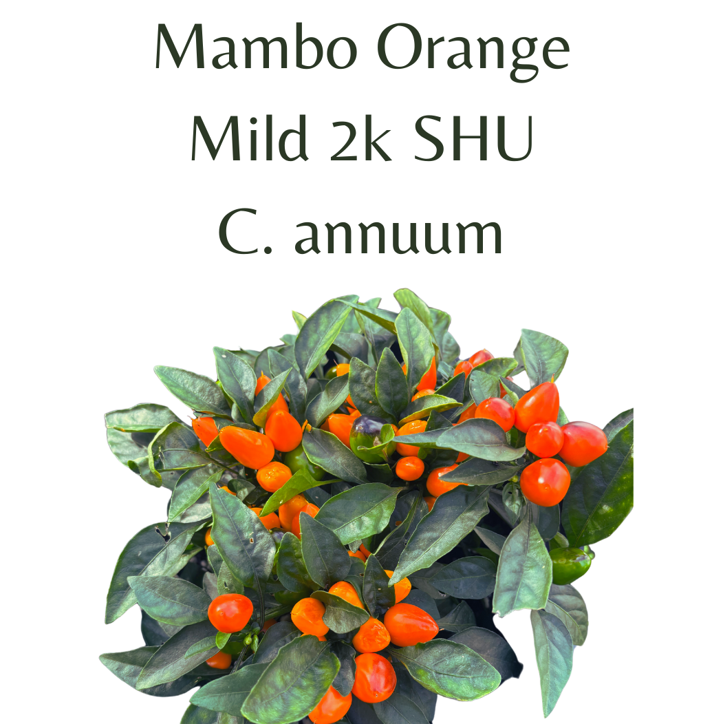 ?!label-Indicative photo