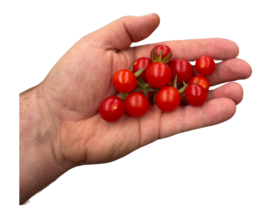 ?!label-Indicative photo