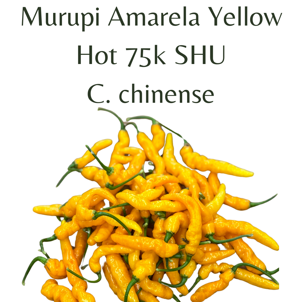 ?!label-Indicative photo